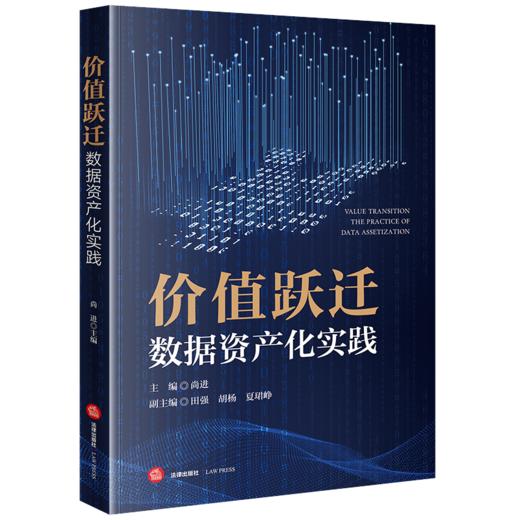 价值跃迁 数据资产化实践 尚进主编 田强 胡杨 夏珺峥副主编 法律出版社 商品图0
