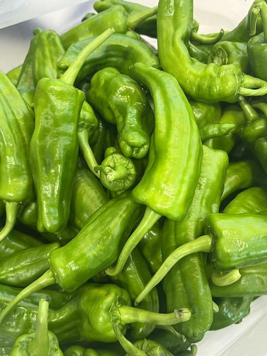 北山现摘辣椒 商品图0