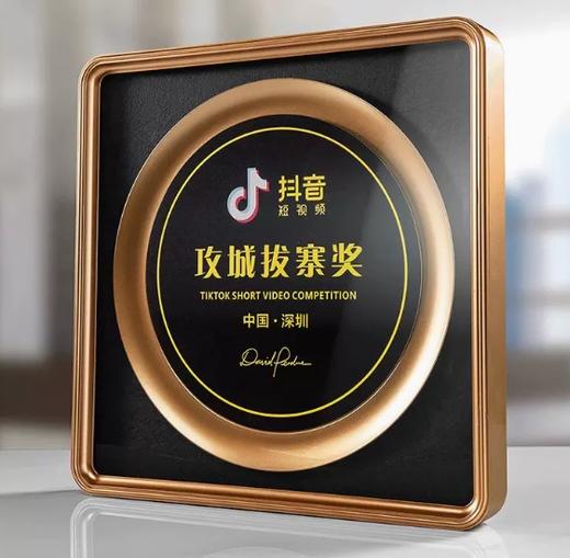 创意金属奖牌定制高档荣誉牌匾定做医美商会纪念奖盘加盟店授权牌 商品图2