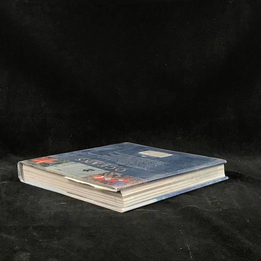 海洋视觉指南 数百幅彩色插图 精装16开 商品图2