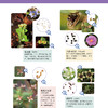 《旅行的种子图鉴》 商品缩略图13