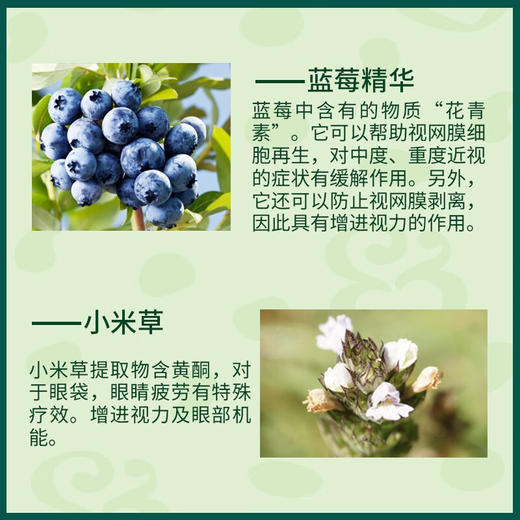【保税仓】HollandBarrett荷柏瑞护眼蓝莓叶黄素酯护眼片60片 商品图3