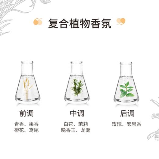 【买二送一】PHX内衣专研洗衣液320ML 商品图5