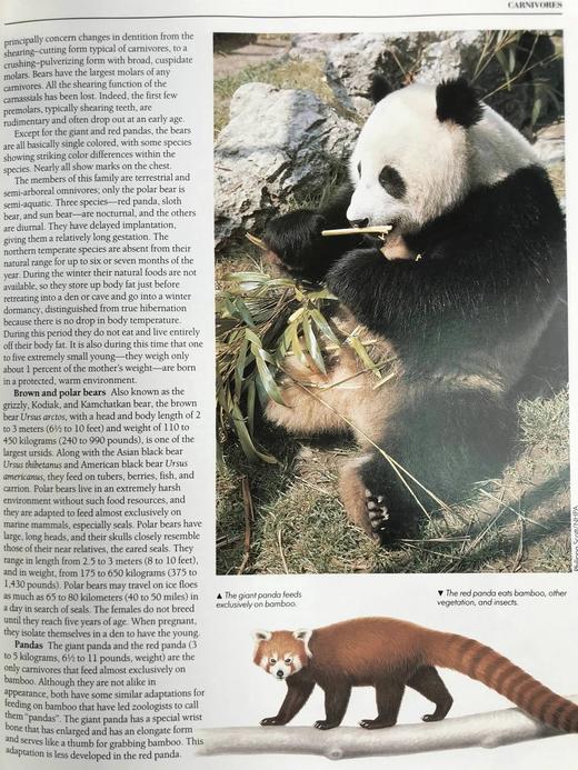 读者文摘动物百科全书 2000余幅插图 精装大16开 商品图9