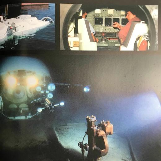 海洋视觉指南 数百幅彩色插图 精装16开 商品图13