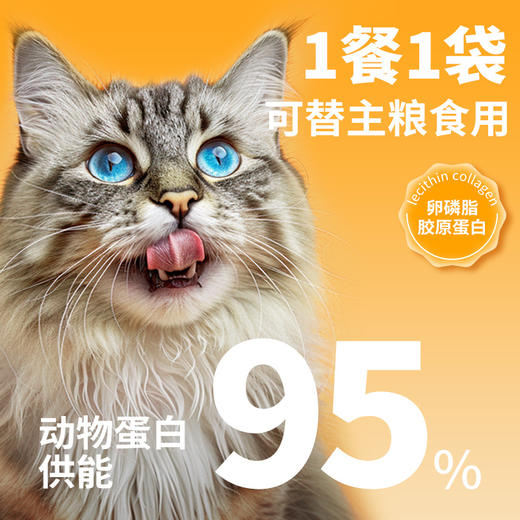 冒险与它全价生骨肉主食餐包60g猫饭增肥猫咪软罐头猫零食一箱280包 商品图3
