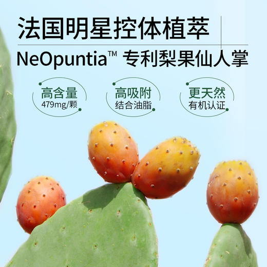 【儒健美好生活专享】NaturElan 燃脂排油胶囊 120粒 商品图3