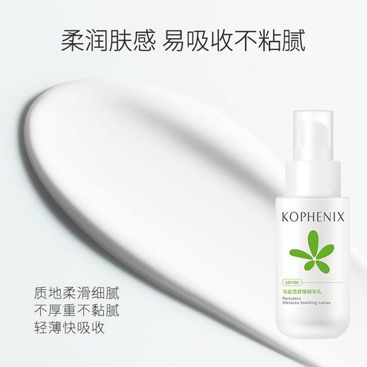 【会员尊享】马齿苋水乳+特护霜 商品图4