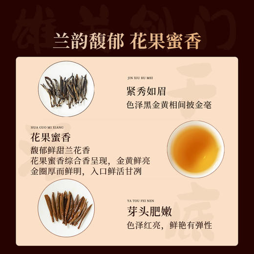 正山堂广元红 剑门1985礼盒装 正宗特级珍稀单芽红茶叶送礼长辈120g 商品图5