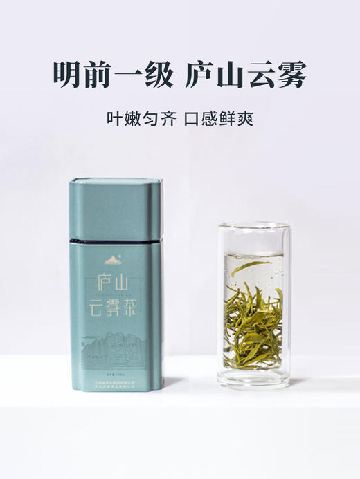 2024新茶明前一级庐山云雾茶叶罐装绿茶春茶100g 商品图0