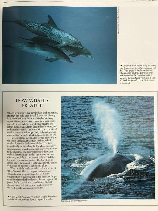 读者文摘动物百科全书 2000余幅插图 精装大16开 商品图8