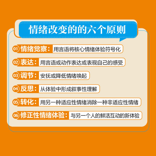 情绪转化情绪 跨诊断的情绪聚焦疗法指南 情绪聚焦疗法心理咨询书籍情绪痛苦心理咨询师书籍 商品图3