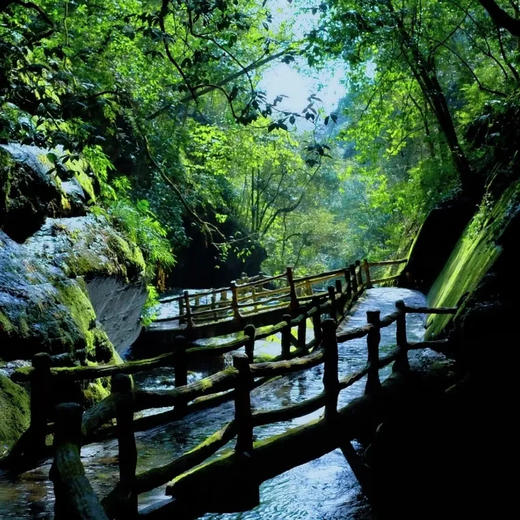 边玩边养老丨漫游铜仁，叹仙境云海梵净山，览铜仁百年历史文化！ 商品图6