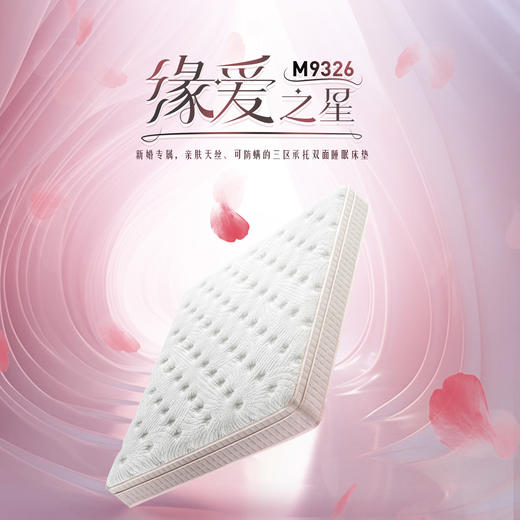 顾家家居整装 床垫 M9326 缘爱之星 商品图0