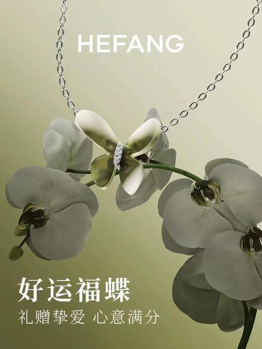 HEFANG何方小蝴蝶锁骨链优雅项链耳环 商品图8