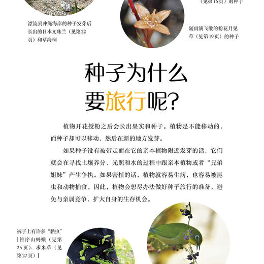 《旅行的种子图鉴》 商品图11