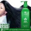 【控油防脱】泛华防脱洗发露两瓶装 052402 商品缩略图0