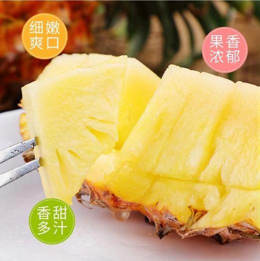 [最农公社]海南金钻凤梨5斤9斤中果大果细嫩爆汁凤梨非菠萝 商品图2