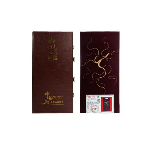 草本利生堂东北长白山野山参人参45厘米礼盒装8-13g 商品图4