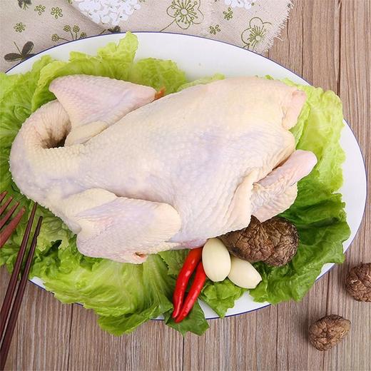 天农 云岭草鸡 800g/袋（液氮保鲜冷冻） 商品图4
