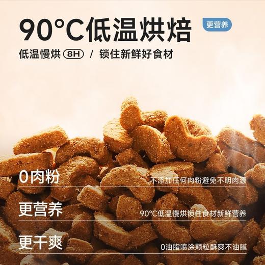 纯福猫粮 烘焙猫粮 鸡肉口味（48小时内发货，着急勿拍） 商品图2