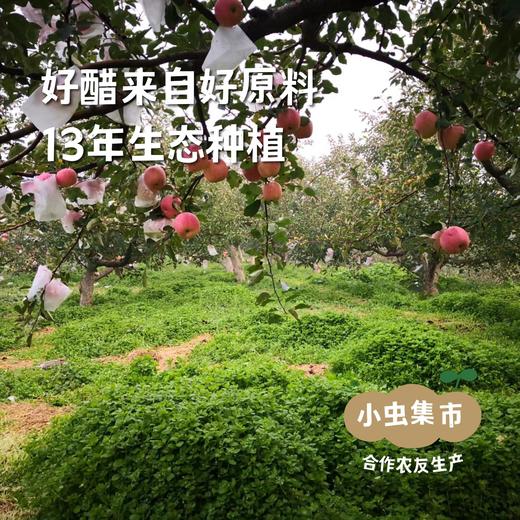 立君生态苹果醋 500ml/瓶 | 合作农友生产，来自山东烟台，生产者：李立君   *【公平贸易农人定价】 商品图3