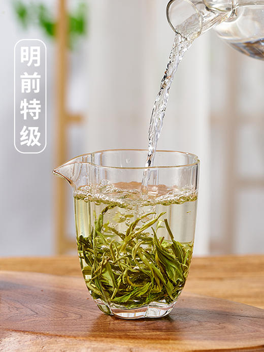 明前特级狗牯脑100g 江西遂川高山春茶 商品图5