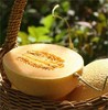 新疆黄金哈蜜瓜 约2.6斤/个  | 水果 商品缩略图1