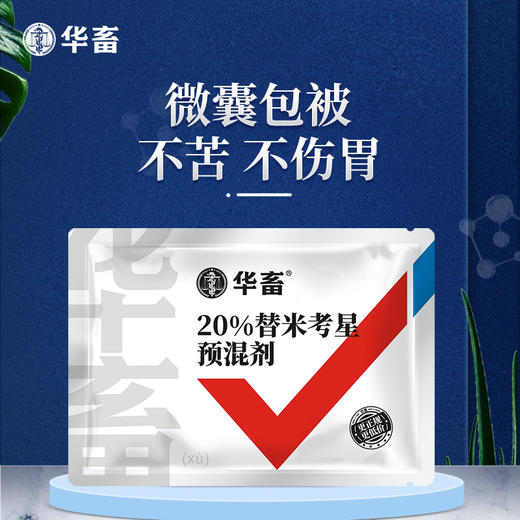 华畜20%包被替米考星预混剂100g  高热干咳 呼吸困难 气喘病 禽畜通用药 商品图0