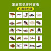 【无效15天内可退】呋虫胺杀虫剂家用室内床上除跳蚤杀蟑螂药喷雾剂灭蚂蚁药驱虫 商品缩略图2