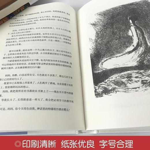 飞鸟集精装正版 商品图4