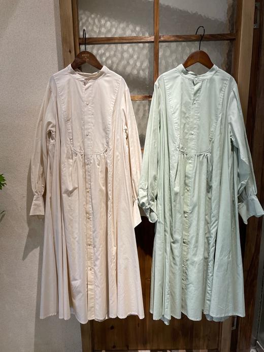 The last flower of the afternoon 商品图14