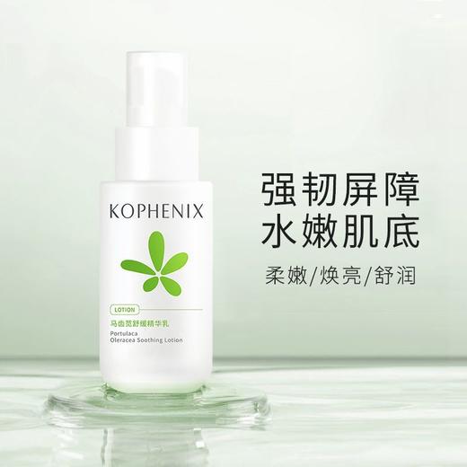 【会员尊享】马齿苋水乳+特护霜 商品图10