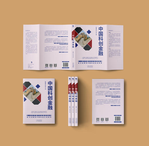 中国科创金融：深入剖析中国科创金融发展脉络  全方位解读中国科创生态体系 探索中国科创金融未来趋势  助力加快培育中国新质生产力 商品图2