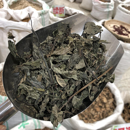 大青叶 商品图3