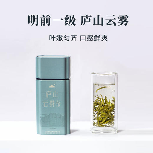 2024新茶明前一级庐山云雾茶叶罐装绿茶春茶100g 商品图4