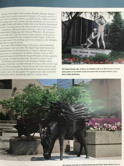 汉密尔顿：新千年的新城市 数百幅彩色插图 精装8开 商品图13