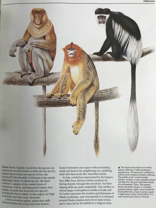 读者文摘动物百科全书 2000余幅插图 精装大16开 商品图11