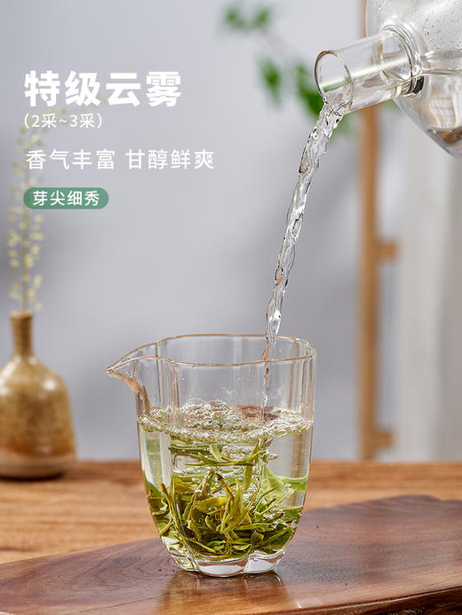 明前特级庐山云雾茶叶 高山浓香型绿茶罐装60g 商品图3