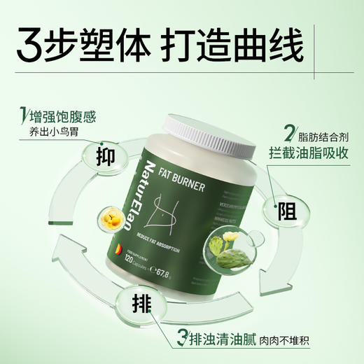 【儒健美好生活专享】NaturElan 燃脂排油胶囊 120粒 商品图2