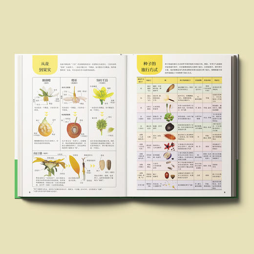 《旅行的种子图鉴》 商品图3