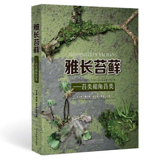 雅长苔藓——苔类和角苔类 商品图0