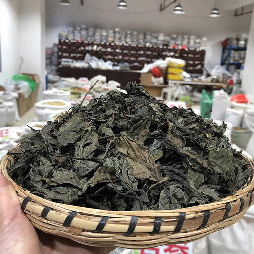 大青叶 商品图1