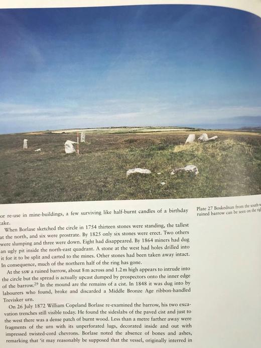 巨石阵的寓言、虚构与事实 百余幅插图 精装16开 商品图13