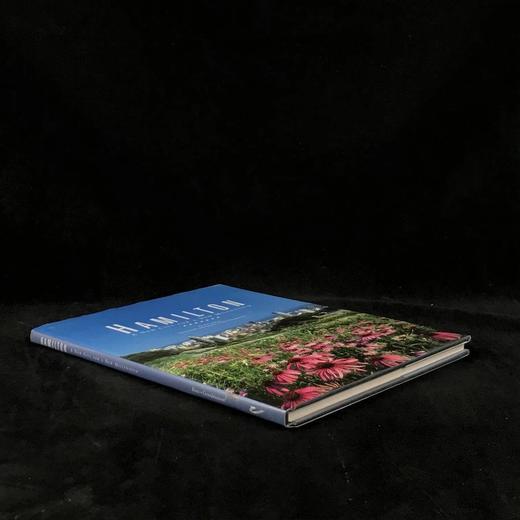 汉密尔顿：新千年的新城市 数百幅彩色插图 精装8开 商品图1