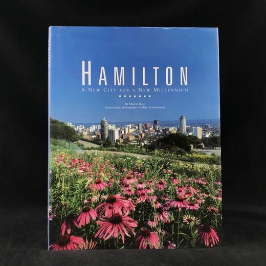 汉密尔顿：新千年的新城市 数百幅彩色插图 精装8开 商品图0