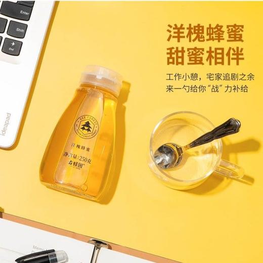 森蜂园 洋槐蜂蜜挤压装 250g/瓶 商品图1