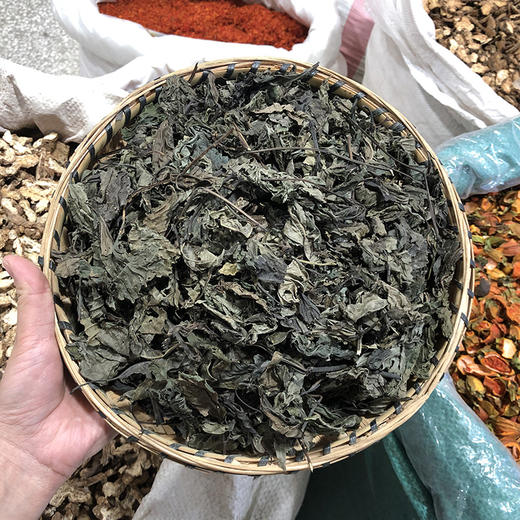 大青叶 商品图0