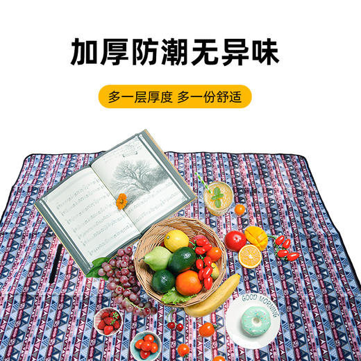 错山野餐垫防潮垫户外露营公园野餐便携野营150*200cm MP815 商品图0