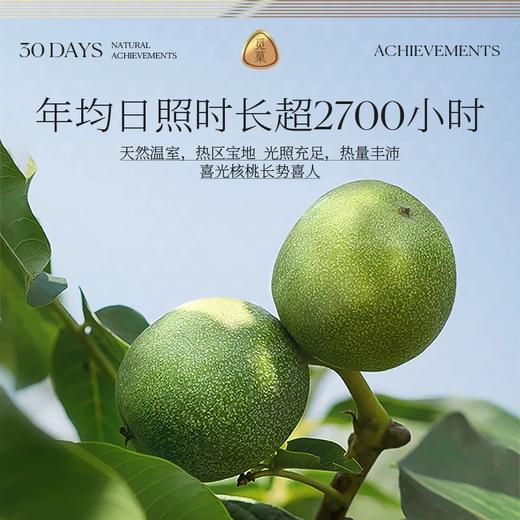 【1件包邮】觅菓AA+有机核桃仁218g/152803 带皮吃不苦涩 甘肃/青海/内蒙古/新疆/西藏/宁夏/海南/港澳台不发货 商品图4